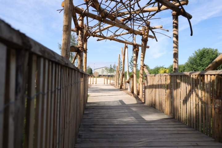 Réalisation de pergolas, platelages et ponton en bois