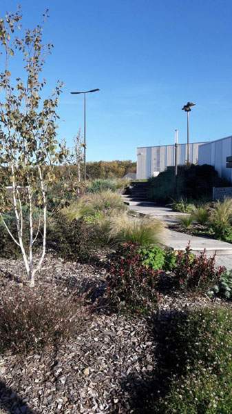 Coin allées espace vert Point Ouit Bressuire