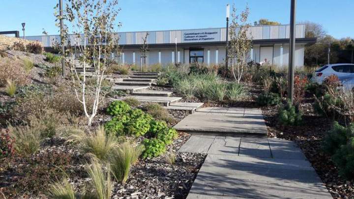 Chemin d'accès et végétation ornementale Bressuire