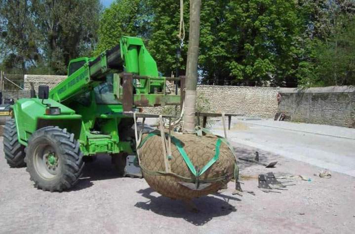 Opération de plantation Bressuire