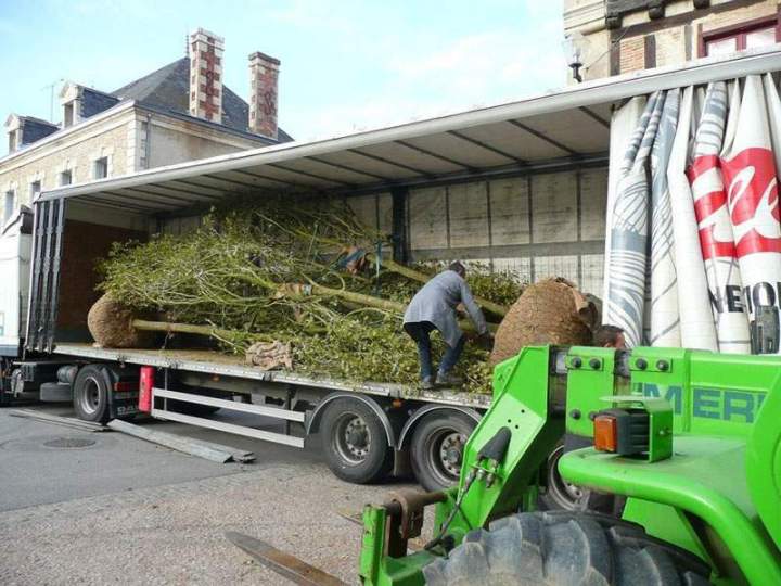 Transport d'arbres Bressuire
